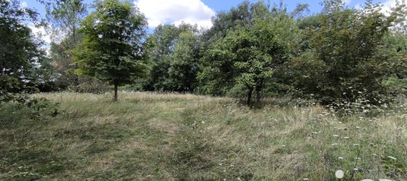 3 bedrooms House in Vendee, France No. 299946 14