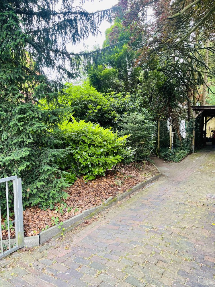 2 غرف نوم منزل في Ammerland, Germany رقم 208724