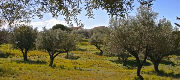 4 bedrooms House in Marbella, Spain No. 135139 10