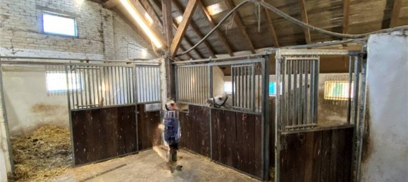 4 chambres Ferme à Friesland, Germany No. 295726 17