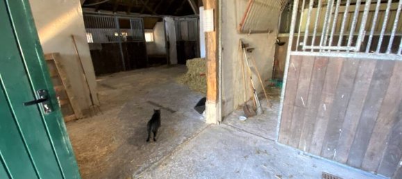 4 chambres Ferme à Friesland, Germany No. 295726 16