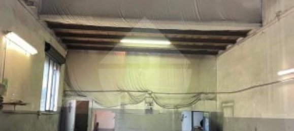 2-Zimmer Gewerbliche Immobilie in Bagno a Ripoli, Italy, Nr. 176813 8