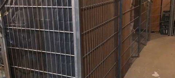 1 Schlafzimmer Wohnung in Leipzig, Germany, Nr. 67921 21