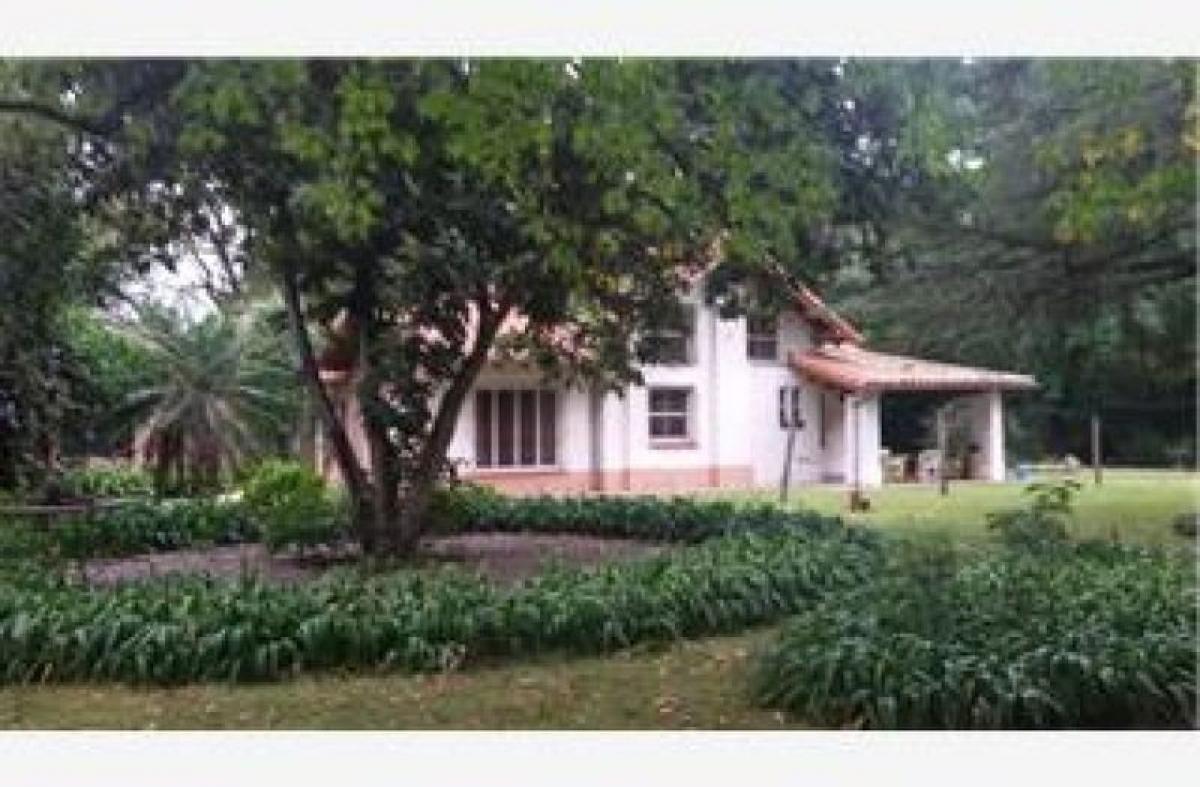  Farm in Malvinas Argentinas, Argentina No. 48542