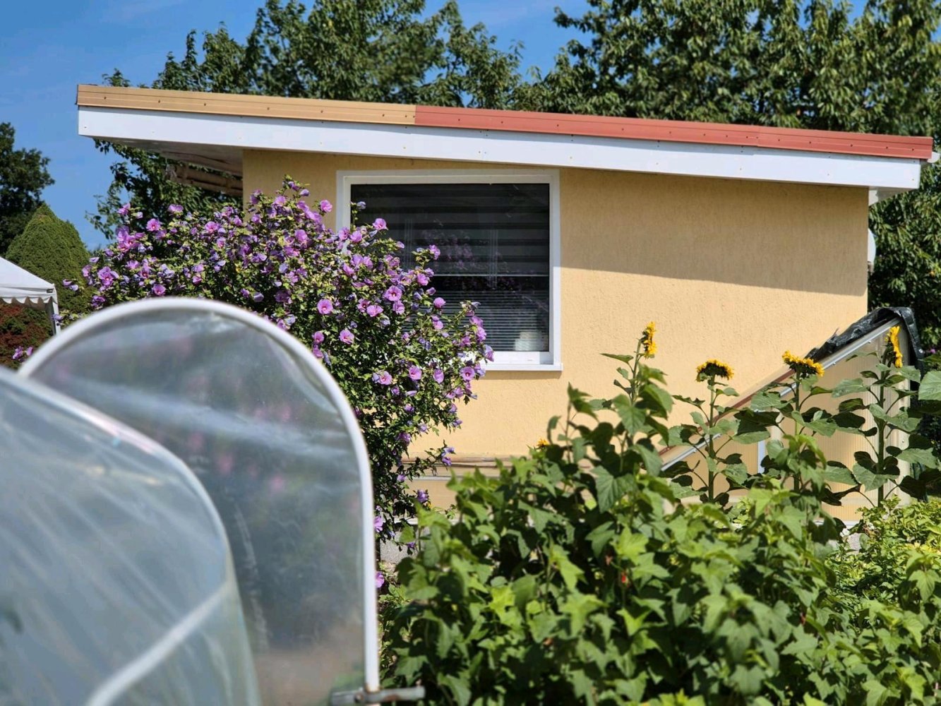 Grundstück in Rostock, Germany, Nr. 292494