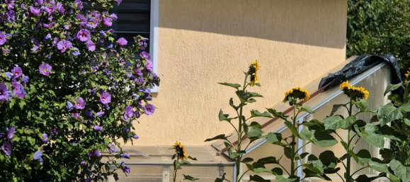 Grundstück in Rostock, Germany, Nr. 292494 4