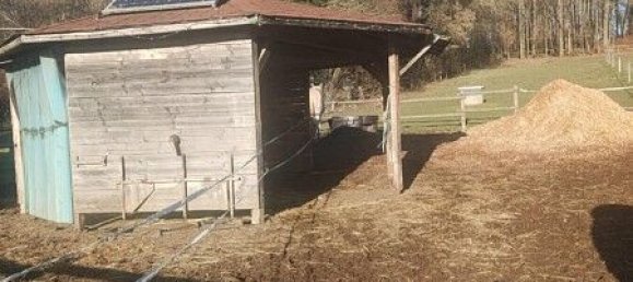 2 bedrooms House in Knoeringue, France No. 43371 36