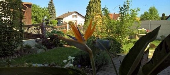 2 bedrooms House in Knoeringue, France No. 43371 25