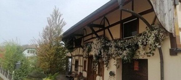 2 bedrooms House in Knoeringue, France No. 43371 27