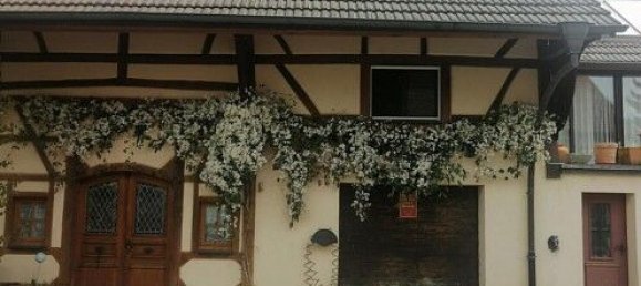 2 bedrooms House in Knoeringue, France No. 43371 33