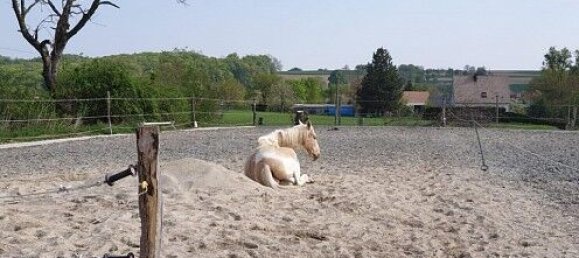 2 bedrooms House in Knoeringue, France No. 43371 35