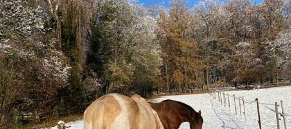 2 bedrooms House in Knoeringue, France No. 43371 40