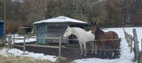 2 bedrooms House in Knoeringue, France No. 43371 28