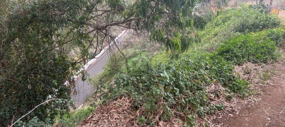 Terreno em Las Palmas De Gran Canaria, Spain 126 m² N.º 78526 5