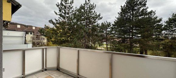 3 rooms Apartment in Zeiselmauer-Wolfpassing, Austria No. 216904 3