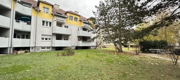 3 rooms Apartment in Zeiselmauer-Wolfpassing, Austria No. 216904 4