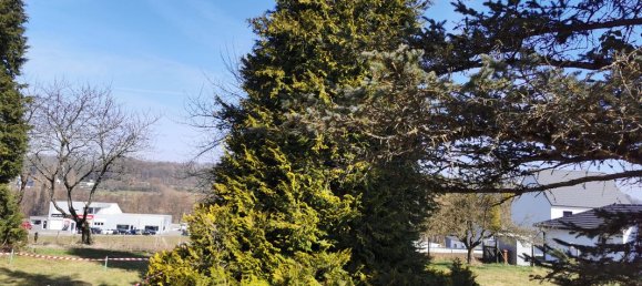 Grundstück in Hirsingue, France 1087m², Nr. 255672 2