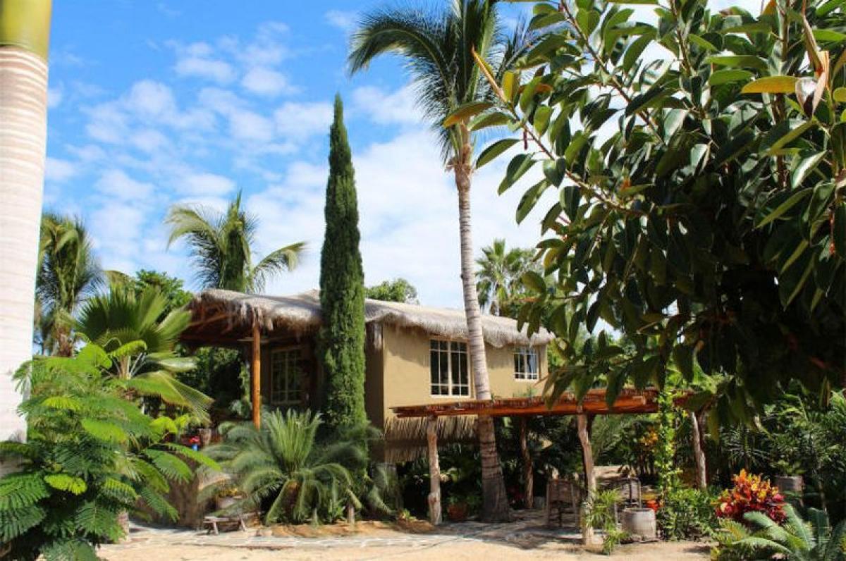 Studio in Baja California Sur, Mexico, Nr. 160050