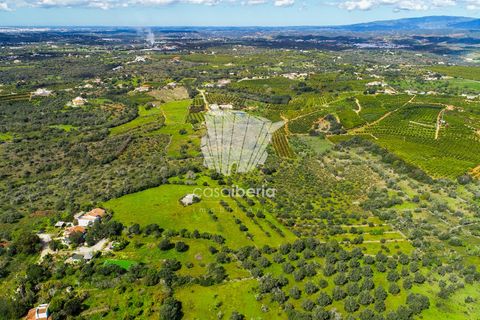 3 bedrooms House in Silves, Portugal No. 255595