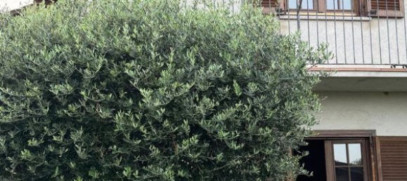 8 bedrooms House in Cossato, Italy No. 321333 32