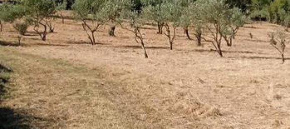 Grundstück in Ittiri, Italy 5209m², Nr. 297554 2