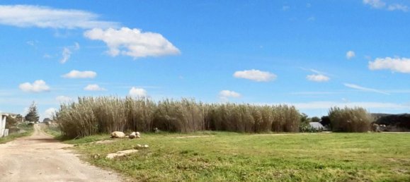 Land in Porto Cesareo, Italy No. 369851 7