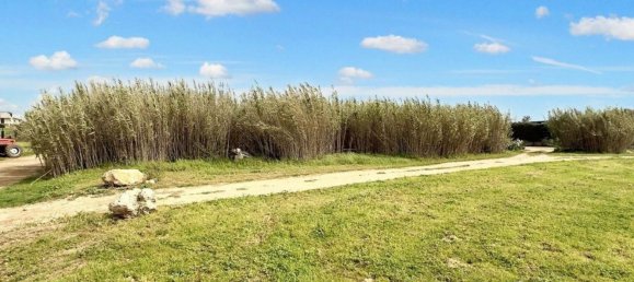 Land in Porto Cesareo, Italy No. 369851 2