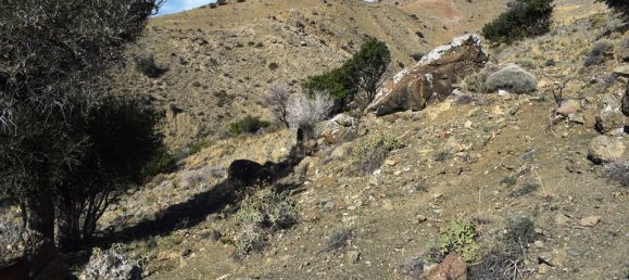 Hotel em Rethymno, Greece 43000 m² N.º 5366 6