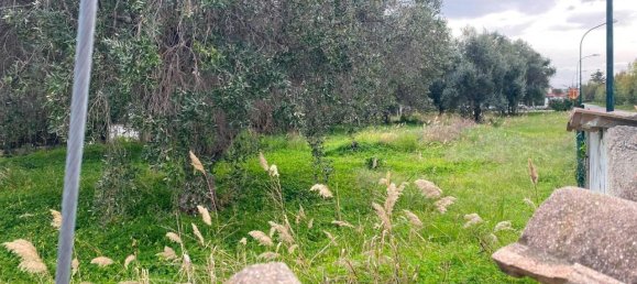 Terreno de 1 habitación en Simeri Crichi, Italy No. 26371 8
