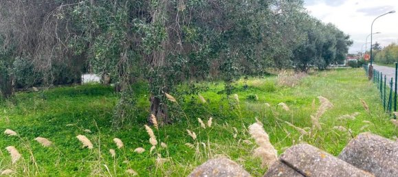 Terreno de 1 habitación en Simeri Crichi, Italy No. 26371 9