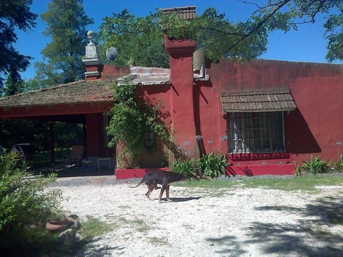 6 Schlafzimmer Bauernhof in Canuelas, Argentina, Nr. 45982