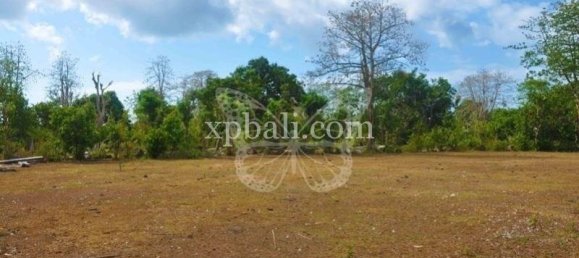 Terrain à South Kuta, Indonesia 13700m² No. 4181 2