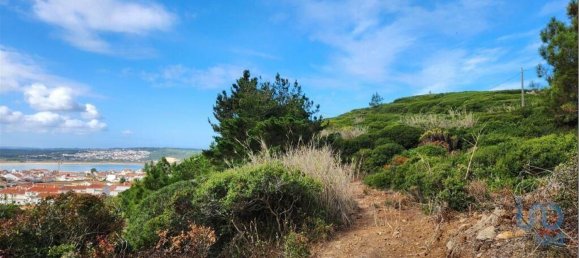 Terreno em São Martinho do Porto, Portugal 9365 m² N.º 134604 8