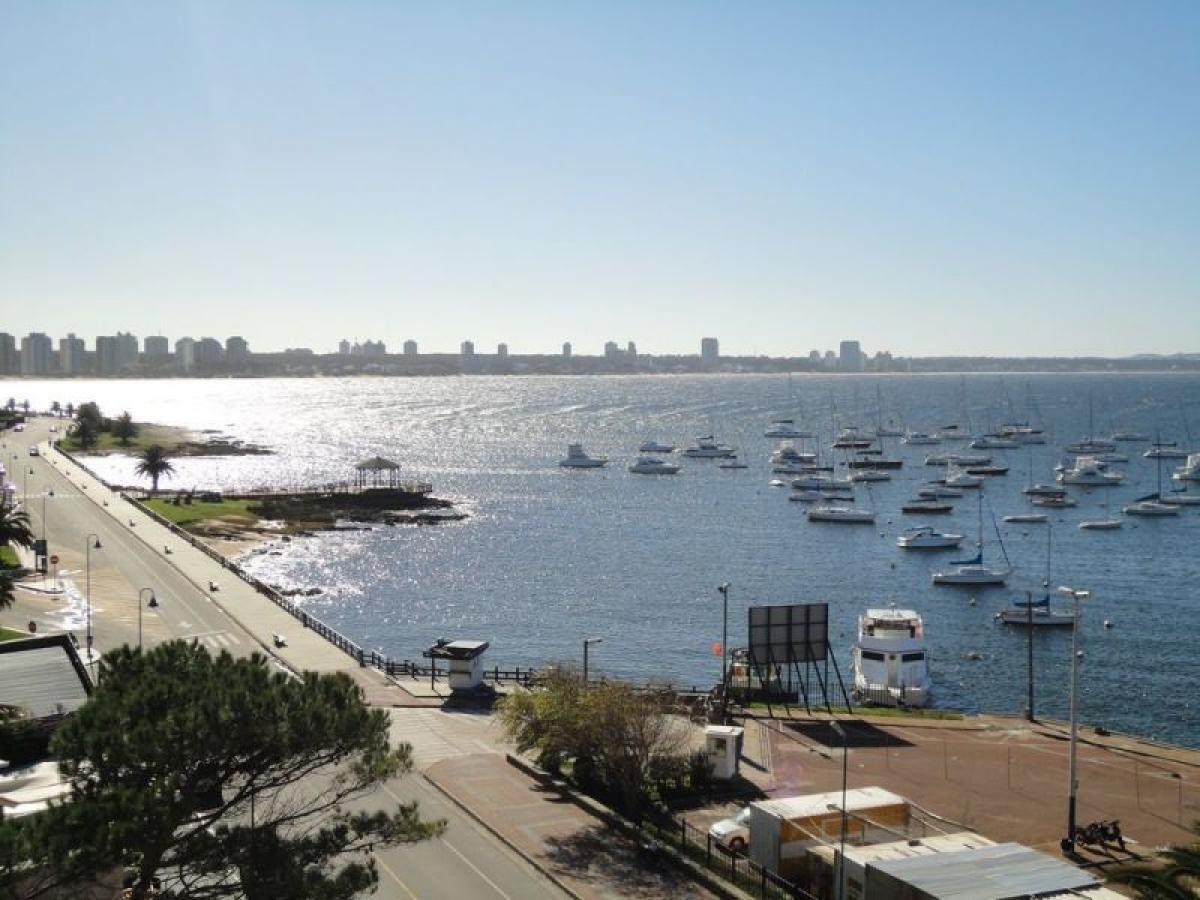 6 chambres Appartement à Maldonado, Uruguay No. 12043