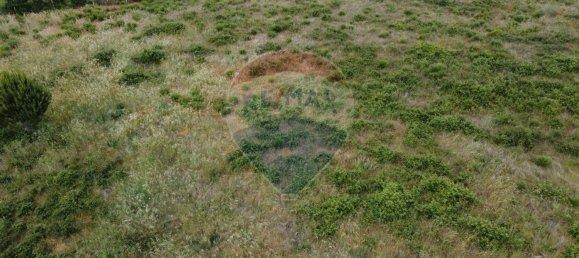 30990m² Land in Seixo da Beira, Portugal No. 11479 15