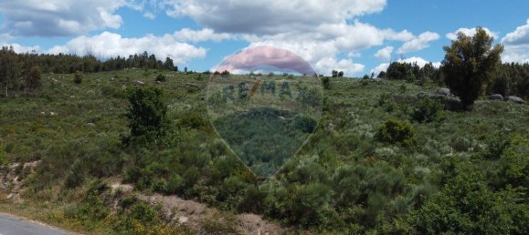 30990m² Land in Seixo da Beira, Portugal No. 11479 6