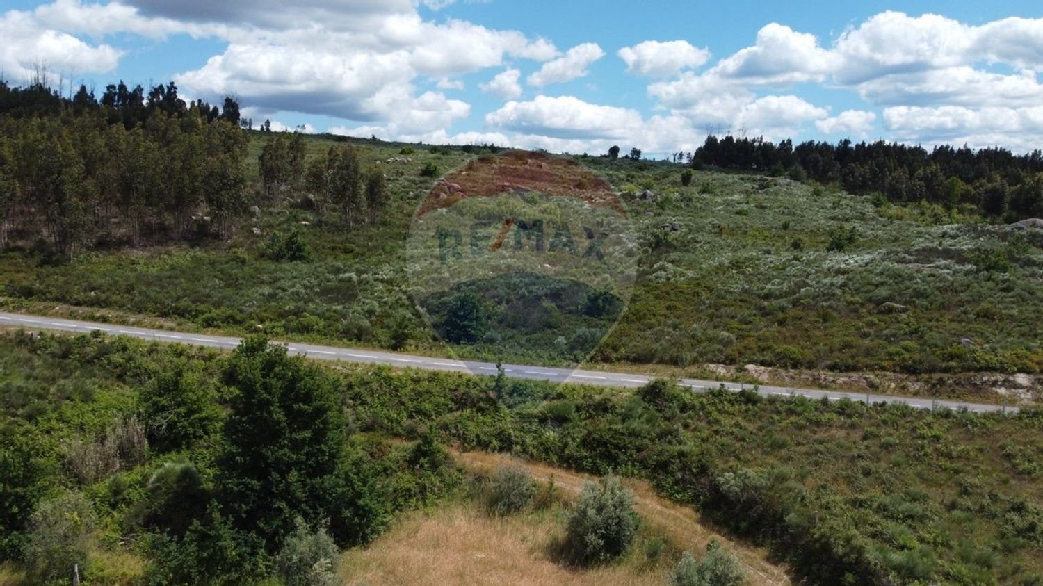 30990m² Land in Seixo da Beira, Portugal No. 11479