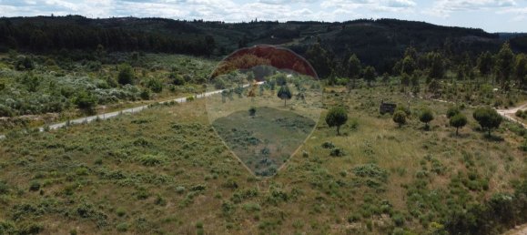 30990m² Land in Seixo da Beira, Portugal No. 11479 14