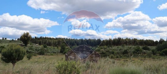30990m² Land in Seixo da Beira, Portugal No. 11479 4
