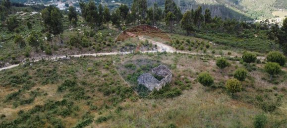 30990m² Land in Seixo da Beira, Portugal No. 11479 18