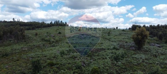 30990m² Land in Seixo da Beira, Portugal No. 11479 10