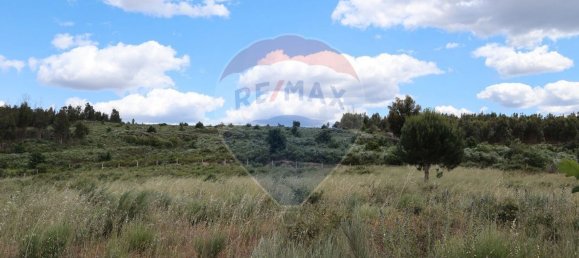 30990m² Land in Seixo da Beira, Portugal No. 11479 2