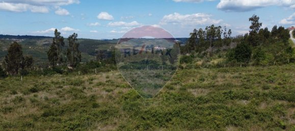 30990m² Land in Seixo da Beira, Portugal No. 11479 13