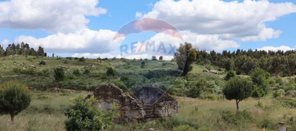 30990m² Land in Seixo da Beira, Portugal No. 11479 22