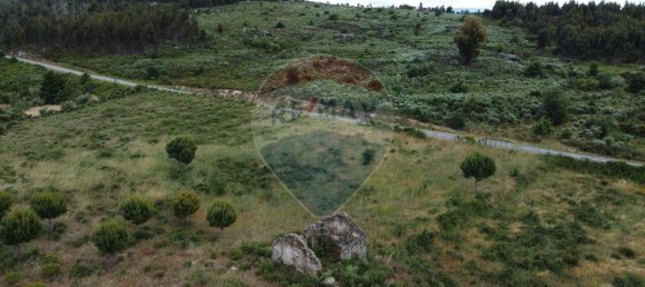 30990m² Land in Seixo da Beira, Portugal No. 11479 3