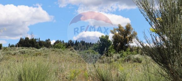 30990m² Land in Seixo da Beira, Portugal No. 11479 21