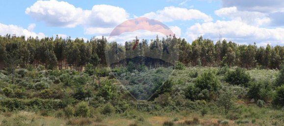 30990m² Land in Seixo da Beira, Portugal No. 11479 5