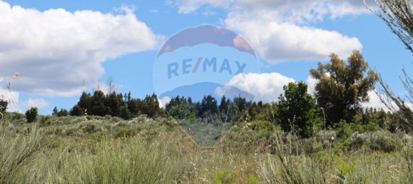 30990m² Land in Seixo da Beira, Portugal No. 11479 11