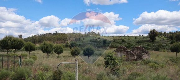 30990m² Land in Seixo da Beira, Portugal No. 11479 8