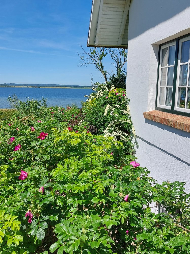 4 rooms Townhouse in Vorpommern-Rugen, Germany No. 188012